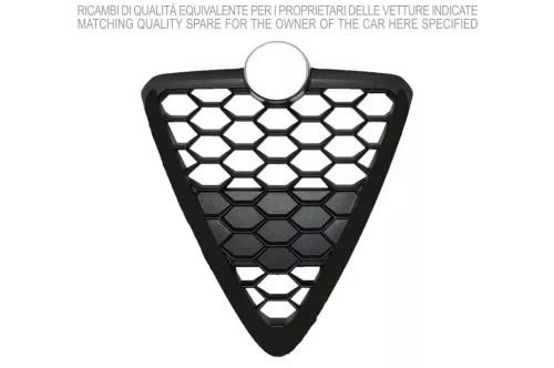 Griglia del radiatore