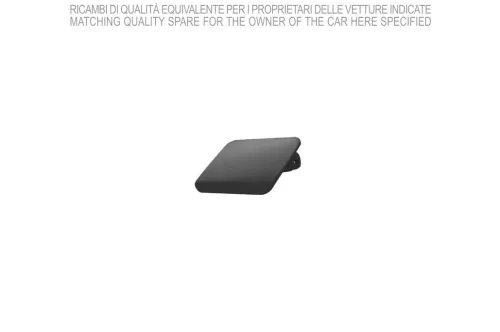 Tappo Lavafaro Destro per BMW Serie 3 2011-2015 | OE 51117293031