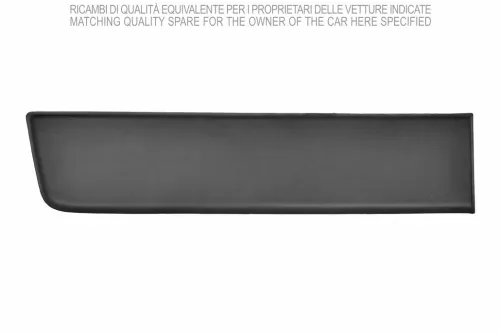 Striscia di protezione/rifinitura, ala