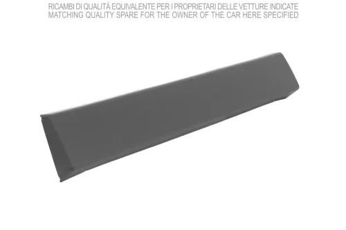 Striscia di protezione/rifinitura, ala