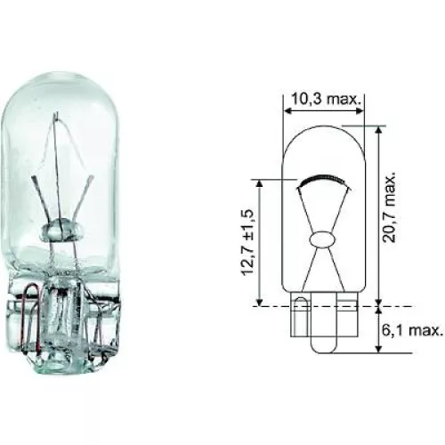Bulb