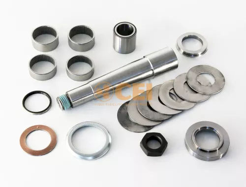 Kit riparazione, Perno fuso a snodo