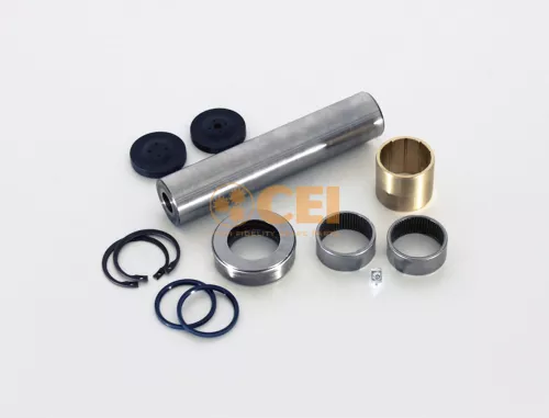 Kit riparazione, Perno fuso a snodo