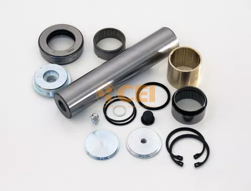 Kit riparazione, Perno fuso a snodo