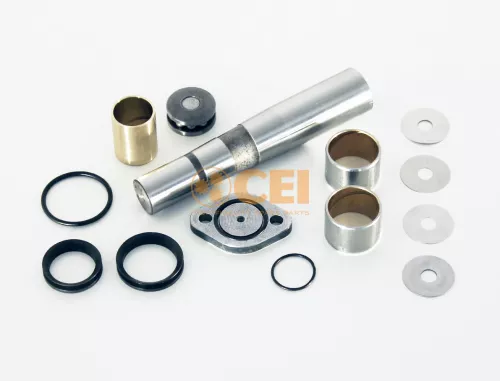 Kit riparazione, Perno fuso a snodo