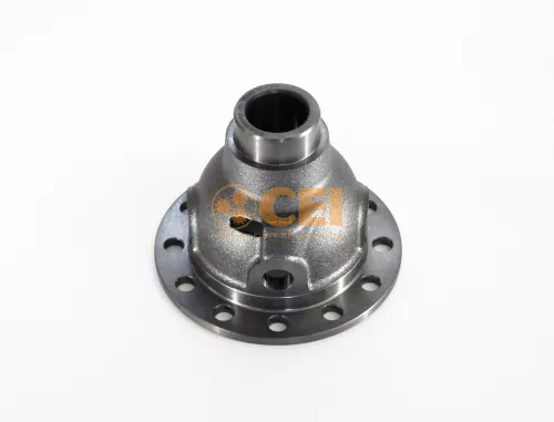 Alloggiamento, Differenziale