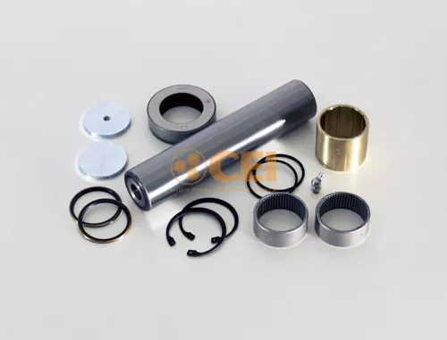 Kit riparazione, Perno fuso a snodo