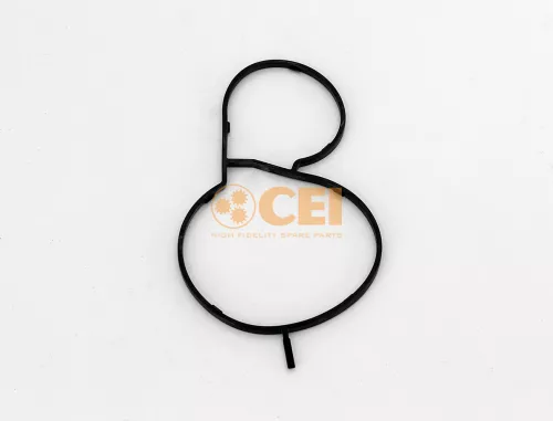 Guarnizione, Cambio manuale