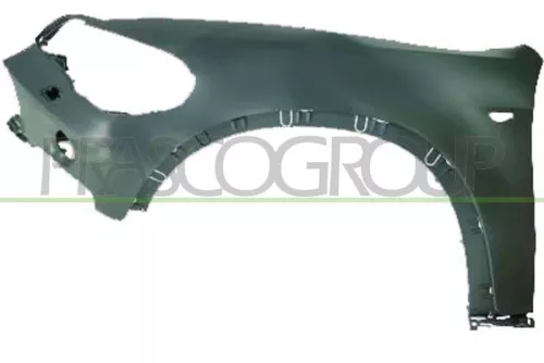 Parafango Anteriore Sinistro Con Fori Modanatura/Lucciola/Lavafari Bmw X5 E70, 2007-2010 - OE 51657178395