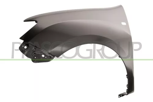 Parafango Anteriore Sinistro Con Foro Lucciola Dacia SANDERO, 2013-2016 - OE 631019973