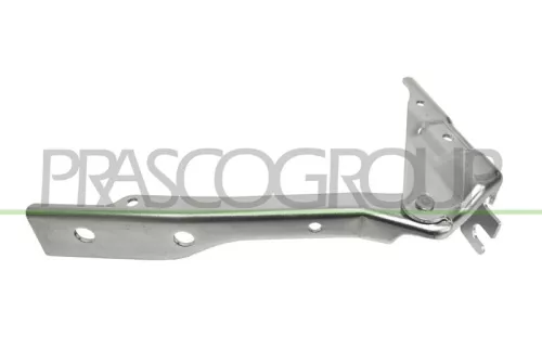 Cerniera Destra Cofano Volkswagen POLO, 2014-2017