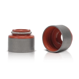 Guarnizioni delle valvole