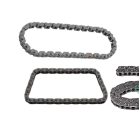 Pompa dell'olio della catena