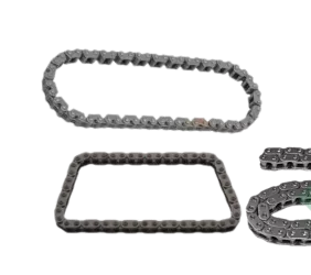 Pompa dell'olio della catena